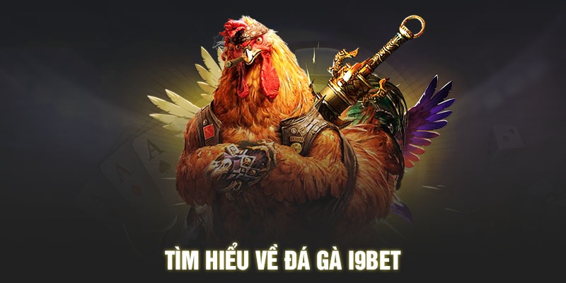 Giới thiệu thông tin chi tiết về sảnh đá gà I9bet